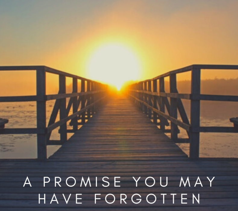 Our trust promise